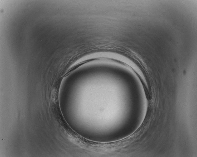 X0000083660025200702201512