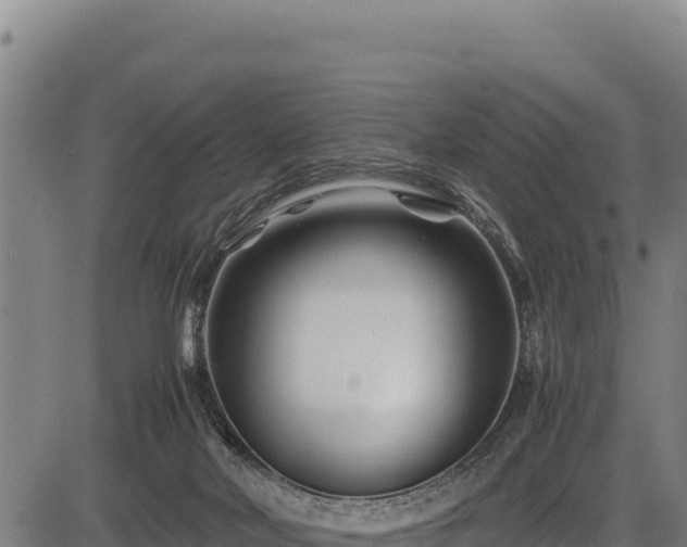 X0000083660026200702201512