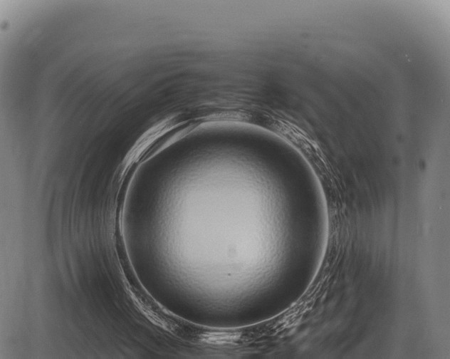 X0000083660051200702201510