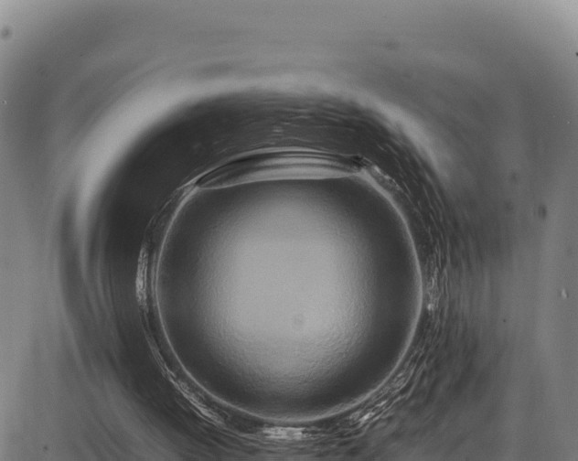 X0000083660052200702201510