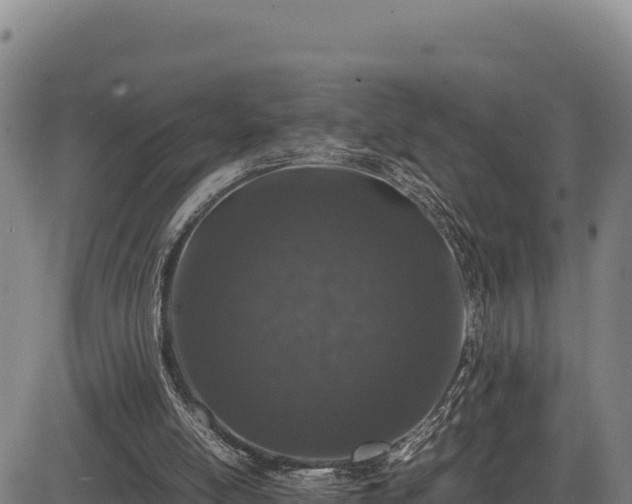 X0000083660054200702201511