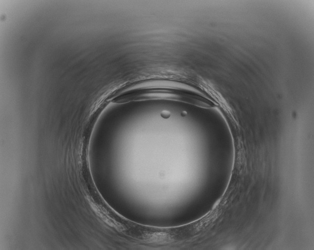 X0000083660058200702201511