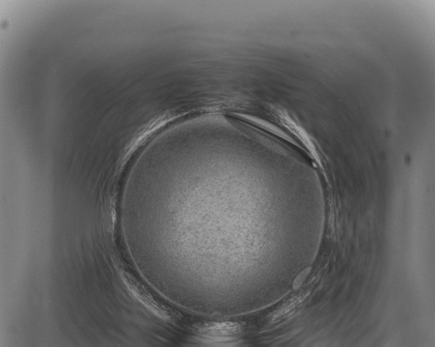 X0000083660059200702201511