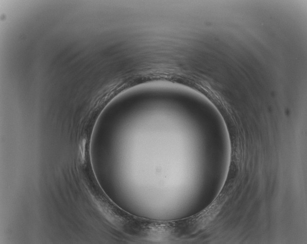 X0000083660070200702201511