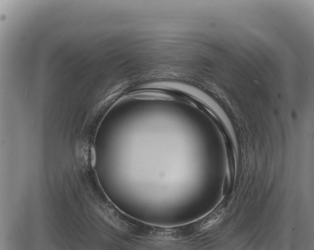 X0000083660072200702201511