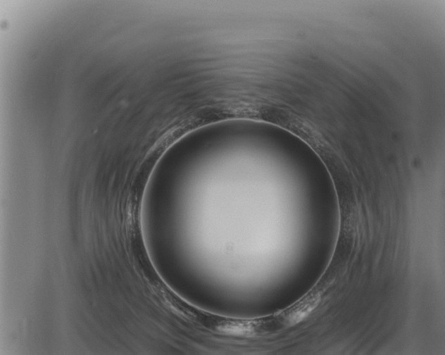 X0000083660084200702201511