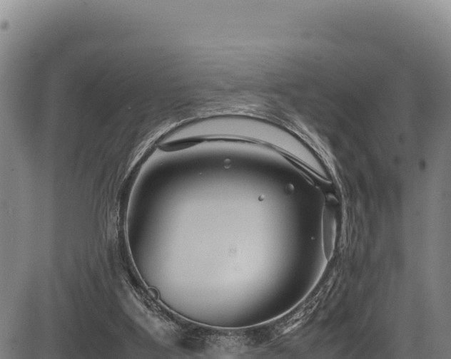 X0000083660107200702201510
