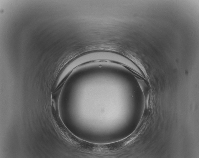 X0000083660109200702201510