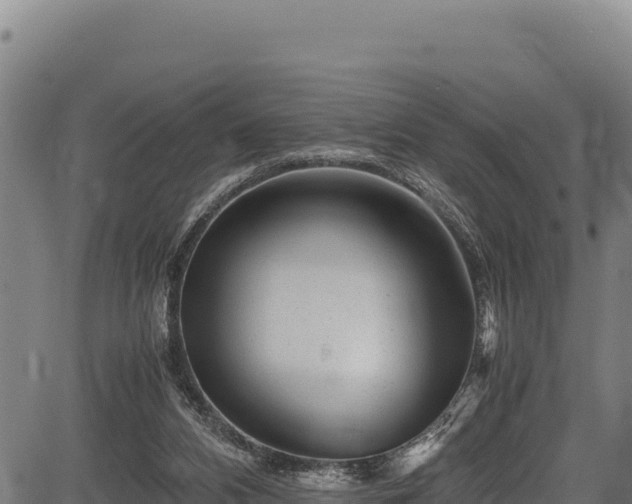 X0000083660112200702201510