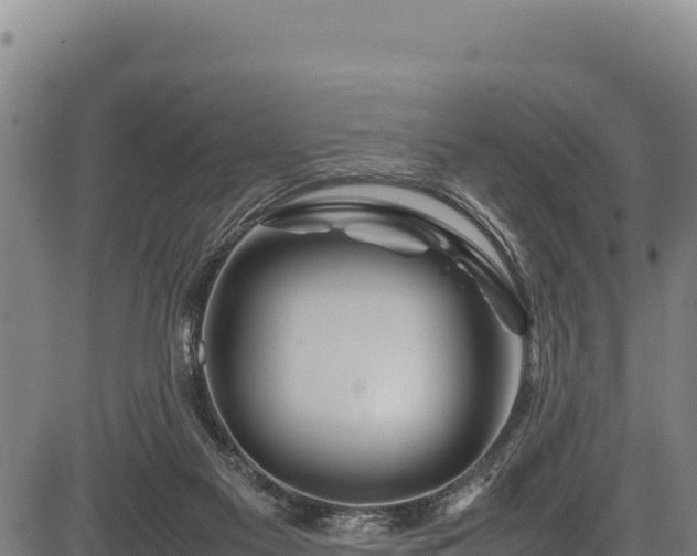 X0000083660117200702201510