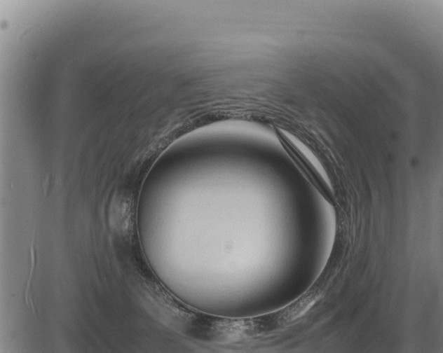 X0000083660131200702201510