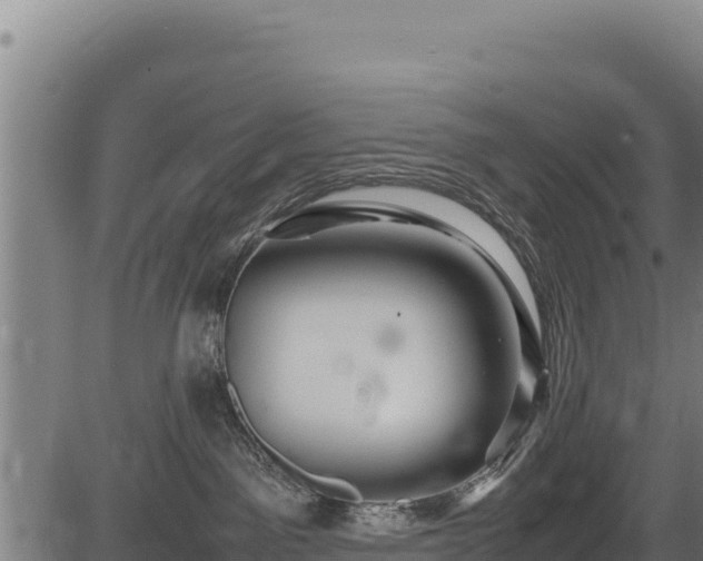 X0000083660141200702201510