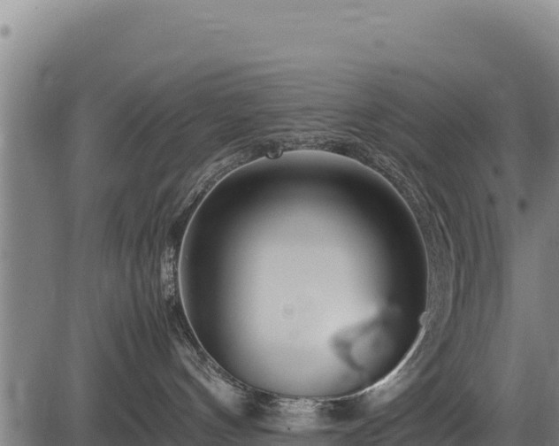 X0000083660144200702201510
