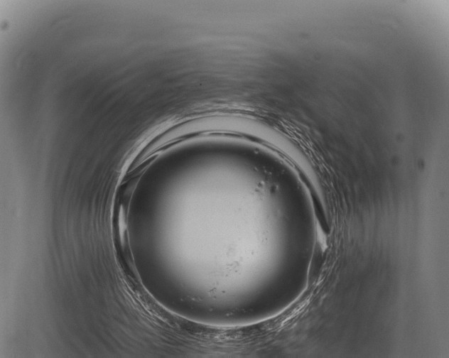 X0000083660148200702201509