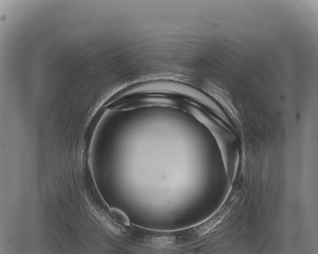 X0000083660156200702201509