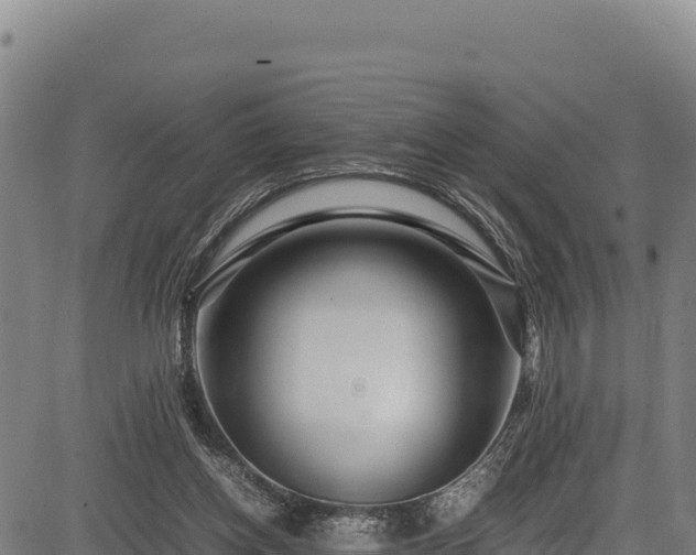 X0000083660158200702201509