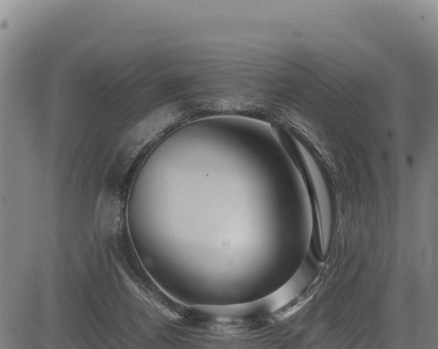X0000083660164200702201509