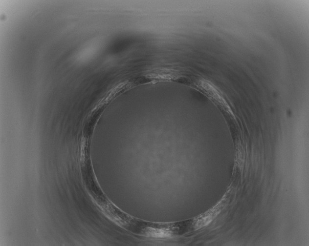 X0000083660167200702201509
