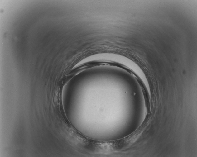 X0000083660233200702201508