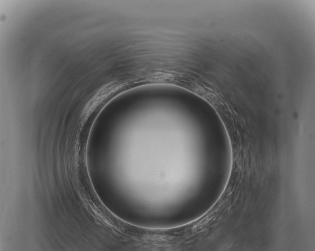 X0000083660242200702201507