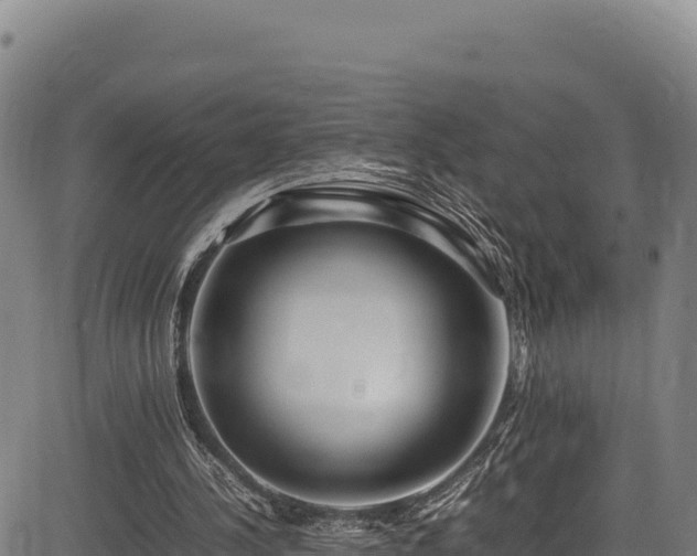 X0000083660244200702201507