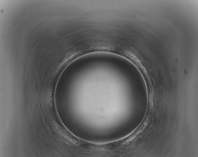 X0000083660249200702201507