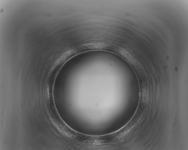 X0000083660254200702201507