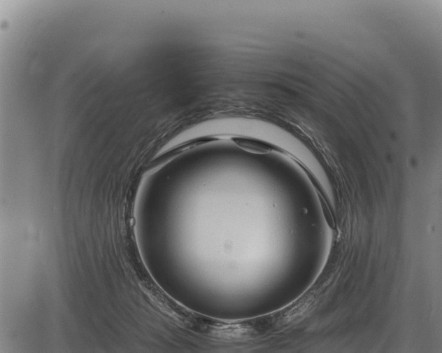 X0000083660269200702201508