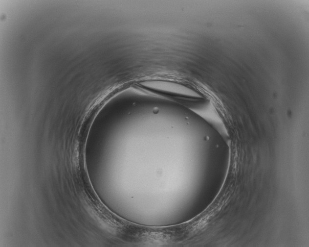 X0000083660298200702201507