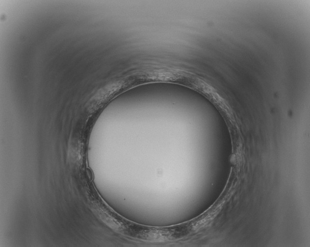X0000083660305200702201507