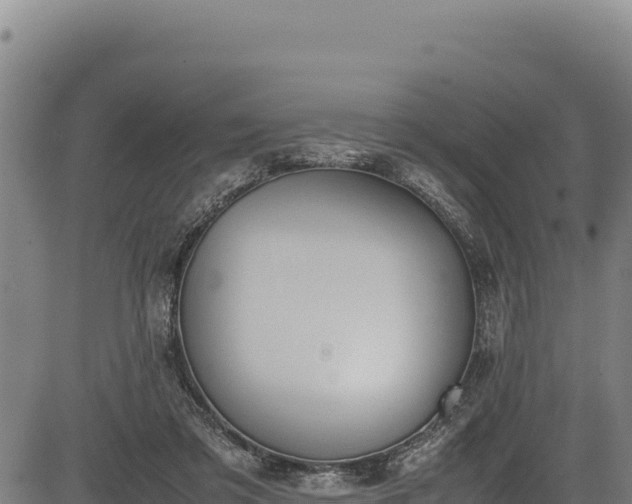 X0000083660309200702201507