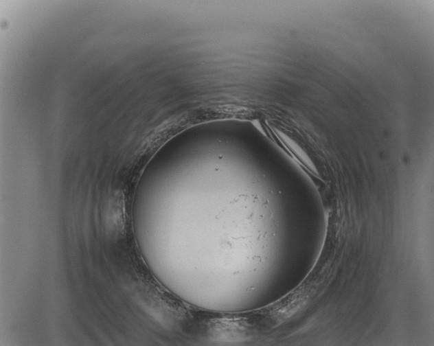 X0000083660320200702201507