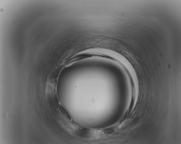 X0000083660333200702201506