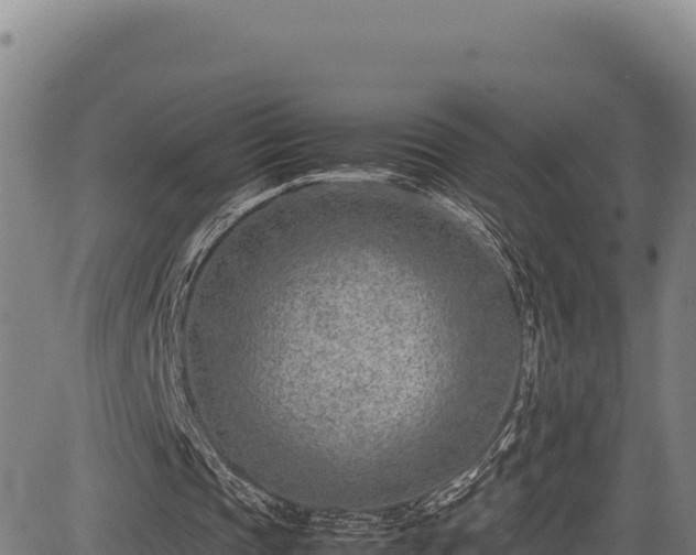 X0000083660337200702201506