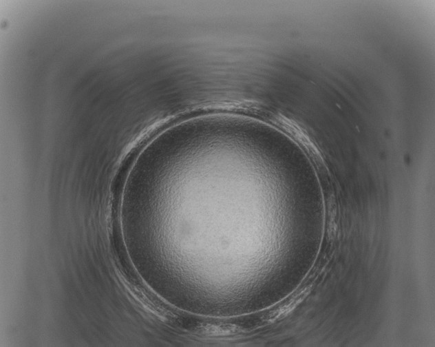 X0000083660346200702201506