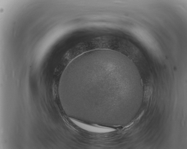 X0000083660383200702201506
