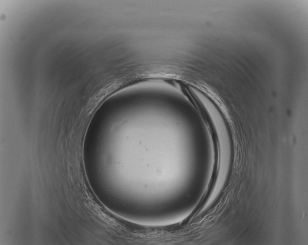 X0000083660385200702201506
