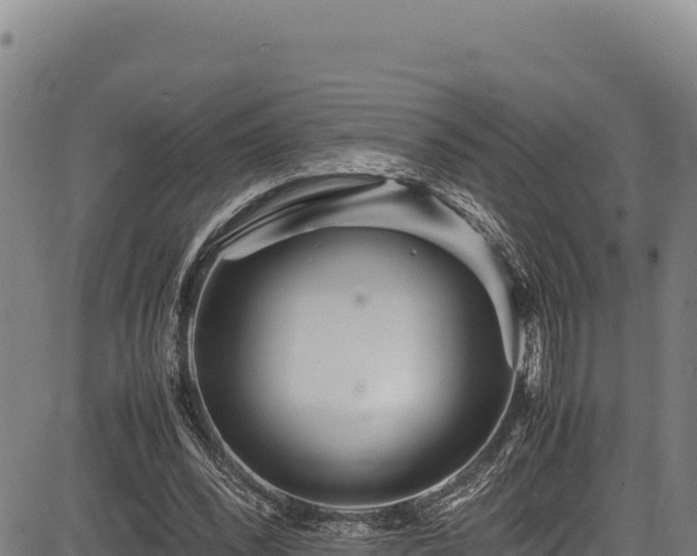 X0000083660392200702201505