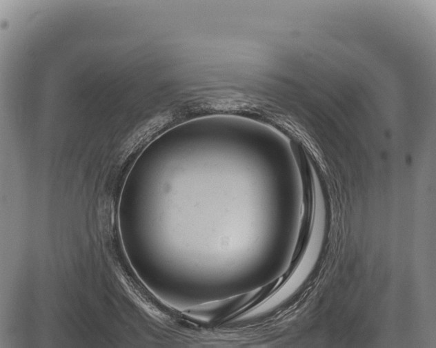 X0000083660397200702201505