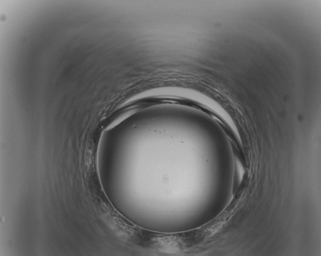 X0000083660417200702201505