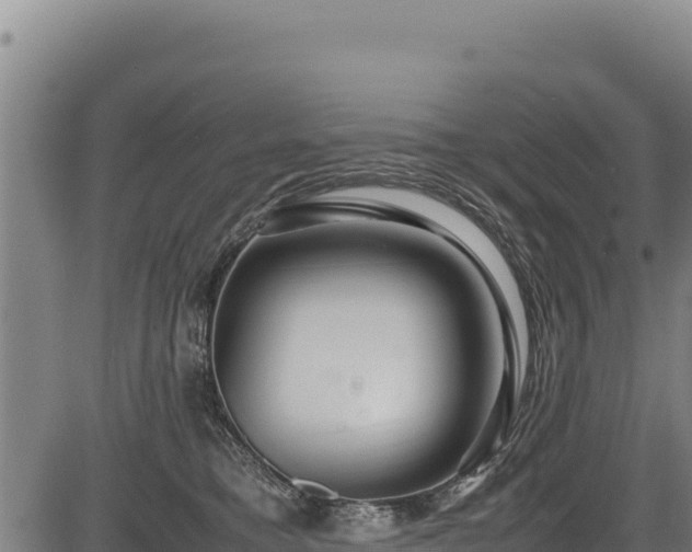 X0000083660421200702201505