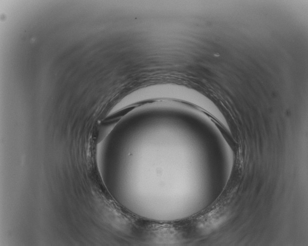 X0000083660424200702201505