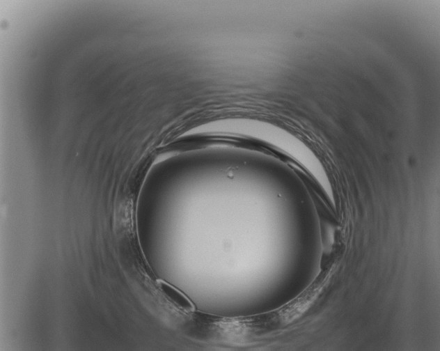 X0000083660425200702201505