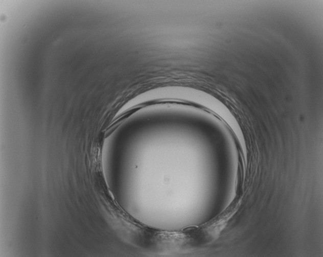 X0000083660429200702201505
