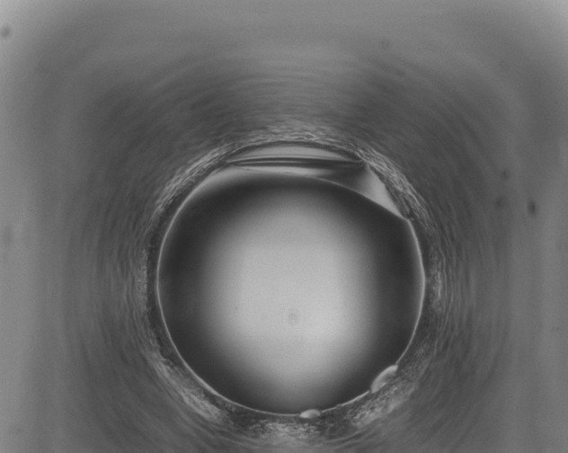 X0000083660442200702201504