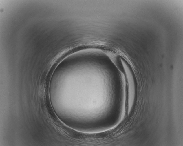 X0000083660483200702201504