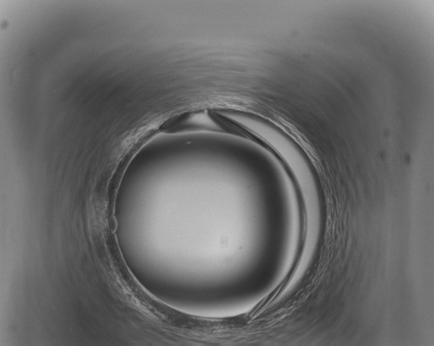 X0000083660485200702201504