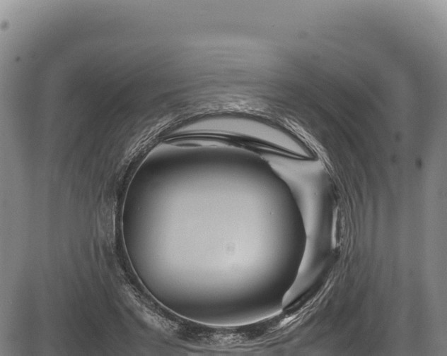 X0000083660493200702201504