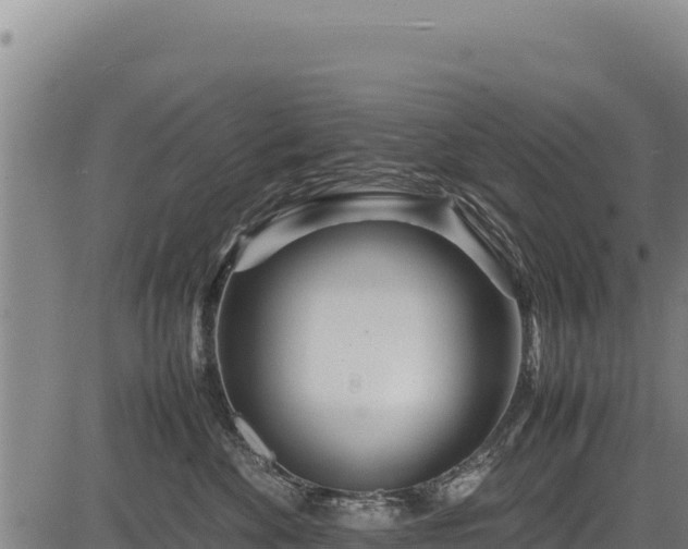 X0000083660524200702201503
