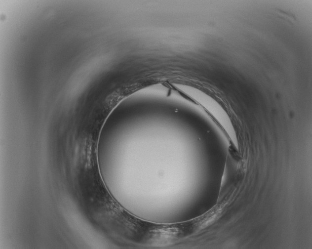 X0000083660525200702201503